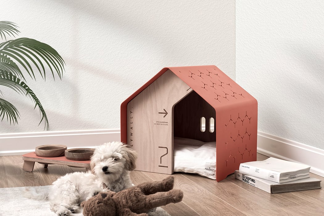 Pets Accessories